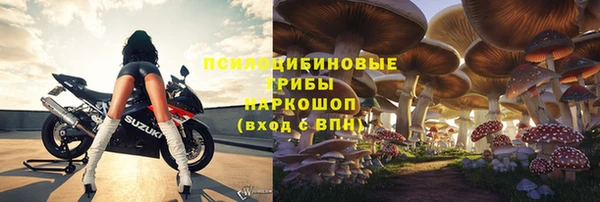 прущий лед Алзамай