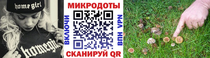 Псилоцибиновые грибы MAGIC MUSHROOMS  купить закладку  Краснозаводск 