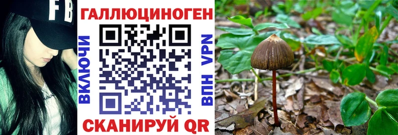 Псилоцибиновые грибы MAGIC MUSHROOMS Краснозаводск